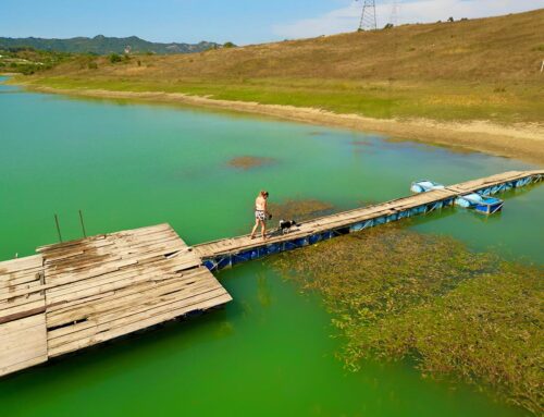 Albanien – Makedonien – Bosnien – Hercegovina